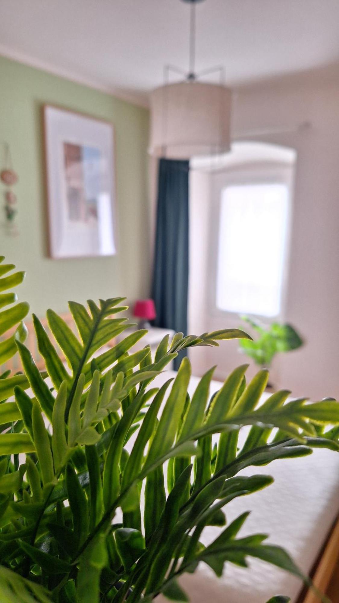 Appartement Al Glicine *